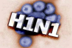Вирус гриппа A/H1N1 