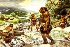  Неандертальцы