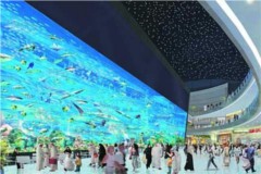  Dubai Mall