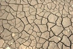 Засуха в России