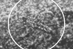 Снимок Венеры, полученный зондом