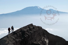 Вид на Килиманджаро с горы Меру