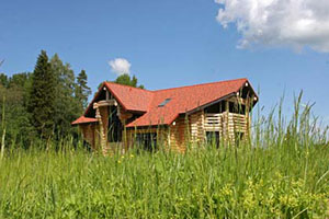 Купить земельный участок в Ломоносовском районе