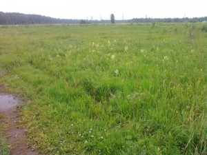 wwb_img279