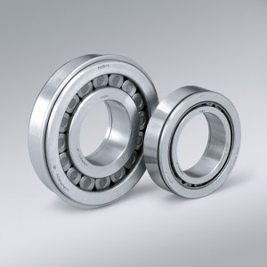 1.3.3.2_Cylindrical_Roller_Bearing_rgb_rdax_95