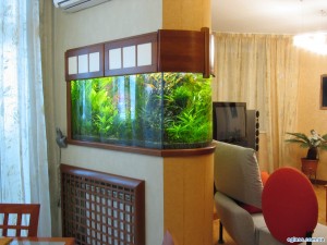 1330178363_aquarium-interior-30