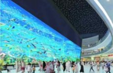 Dubai Mall расширяет свою площадь