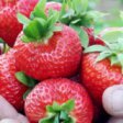 Роспотребнадзор не запрещал ввозить ягоды из Евросоюза