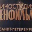 Исторические павильоны «Ленфильма» сохранятся после приватизации