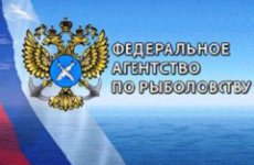 Чиновники Западно-Каспийского управления Росрыболовства скрыли свои доходы