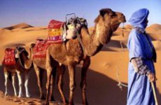 Марокко-образец осуществления реформ, заявил заместитель госсекретаря США Уильям Бернс