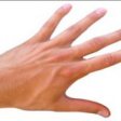 На длину указательного и безымянного пальцев у мужчин и женщин влияют гормоны