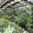 В Москве возобновилось сооружение оранжереи Главного ботанического сада