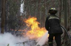 Япония: Резко выросло содержание радиоактивного йода в морской воде