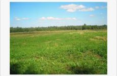 Кунцевское кладбище получит новый участок