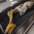 Мумию «алтайской принцессы» не будут выставлять на всеобщее обозрение в Национальном музее Алтая