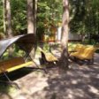 В столичном парке «Тушинский» организовали пять пикниковых точек