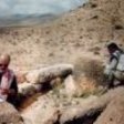 Ученые нашли окаменелости древнего гигантского сверчка и восстановили его стрекотание