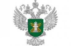 В Россию пытались ввезти овощи из Европы по поддельным документам