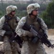В США доставили любимого ослика морских пехотинцев, которые базировались в Ираке