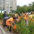 Столичные власти работают над проектом озеленения центра города