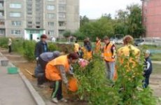 Столичные власти работают над проектом озеленения центра города