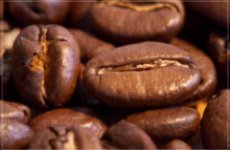 Ученые обнаружили, что кофеин снижает вредное воздействие ультрафиолета