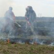 Несколько сотен людей в Московской области вышли на тушение торфяного пожара