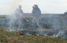 Несколько сотен людей в Московской области вышли на тушение торфяного пожара