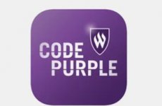 Code Purple: обязательный цвет весны 2023 года