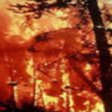 В США природные пожары подошли вплотную к ядерной лаборатории