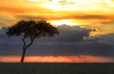 Почему нужно поехать отдыхать в Кению